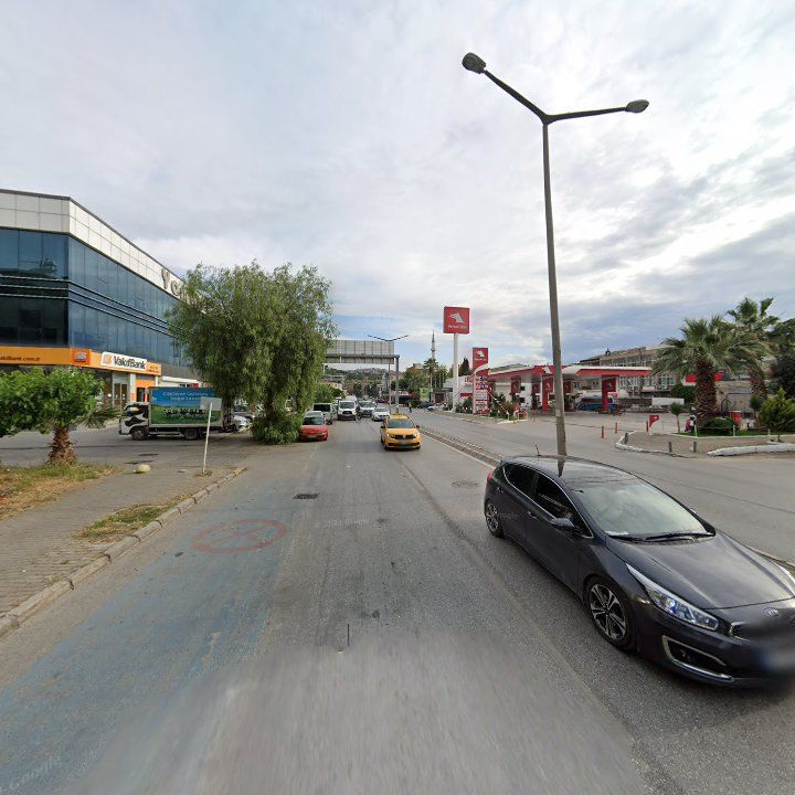 Fotoğraf 11
