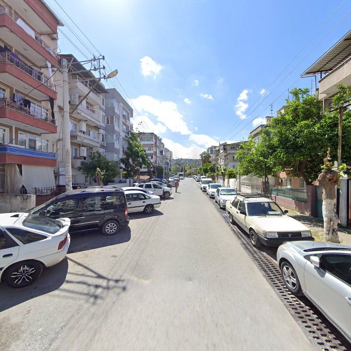 Fotoğraf 8