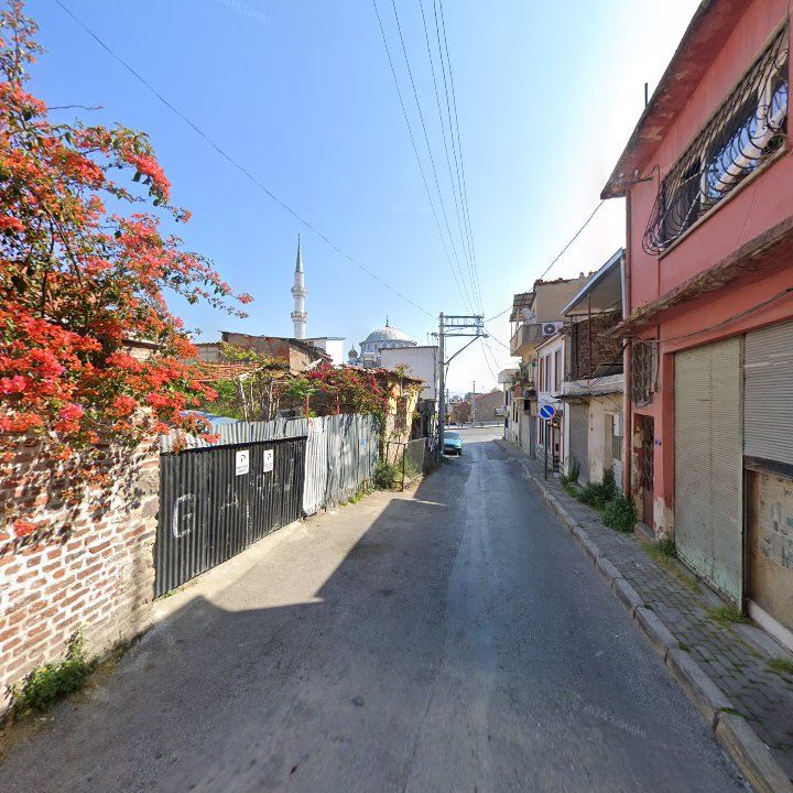 Fotoğraf 11