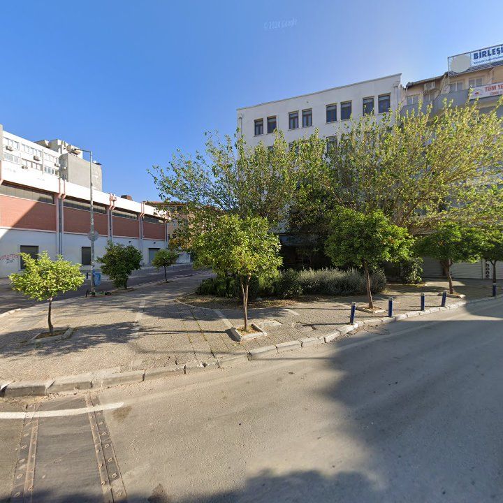 Fotoğraf 11