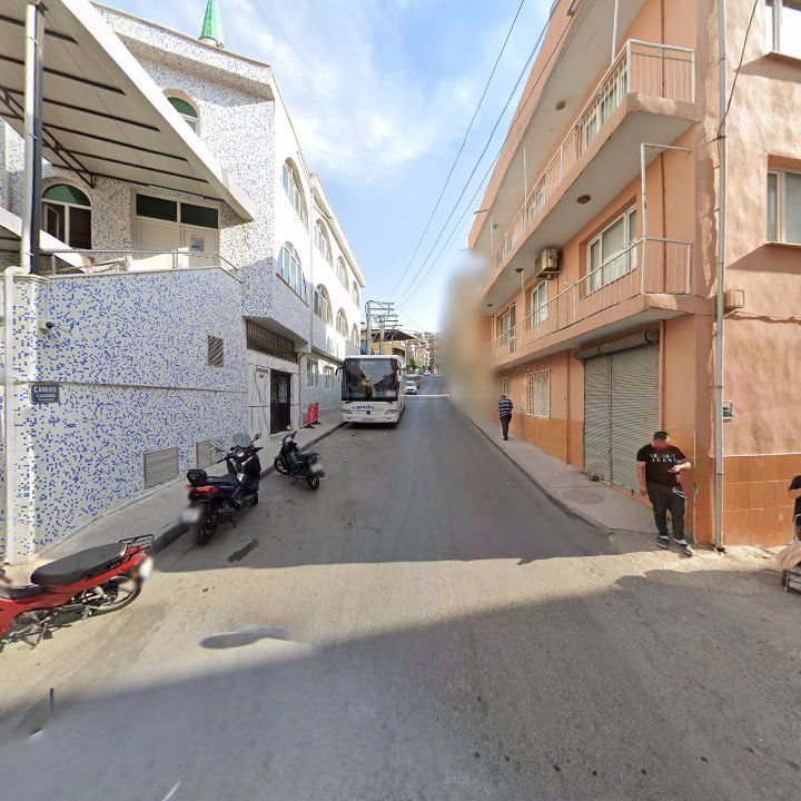 Fotoğraf 6