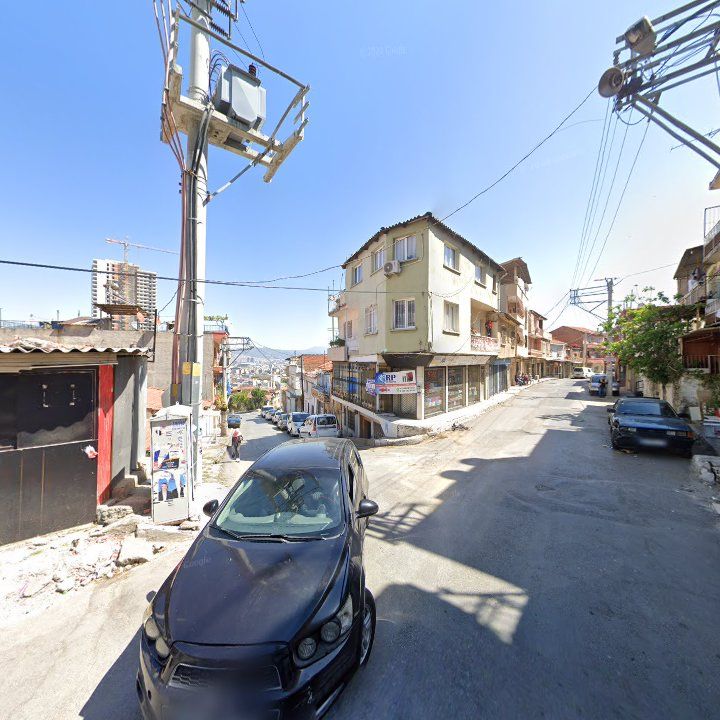Fotoğraf 8