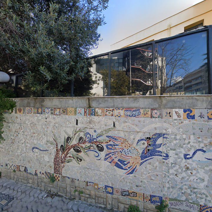 Fotoğraf 12