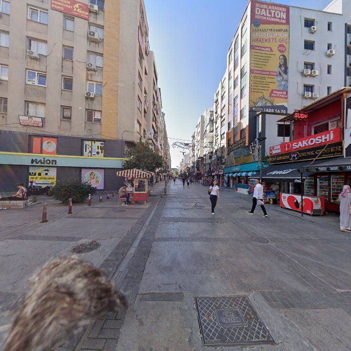 Fotoğraf 10