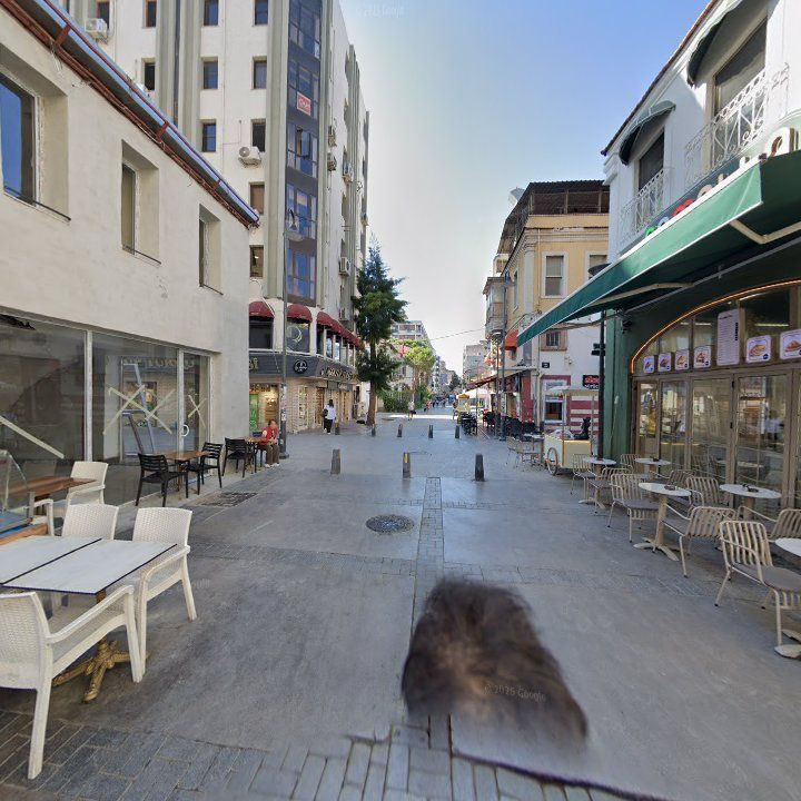Fotoğraf 10