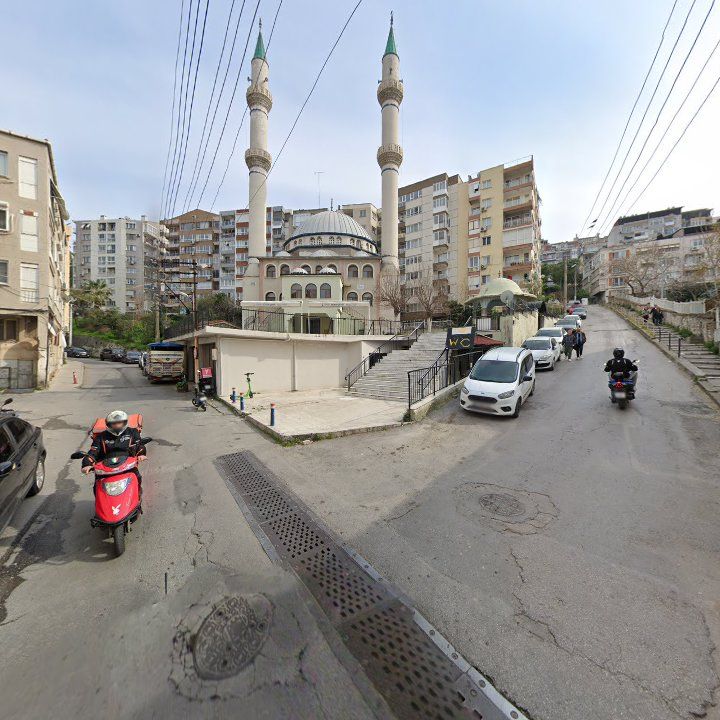 Fotoğraf 10