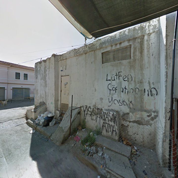 Fotoğraf 10