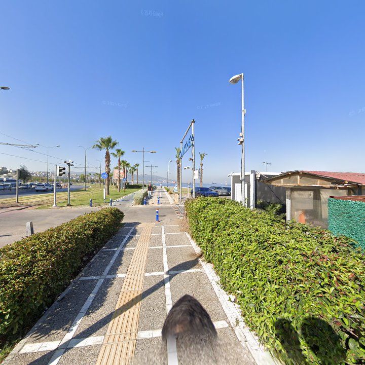 Fotoğraf 13