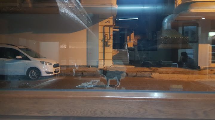 Yorum fotoğrafı 4