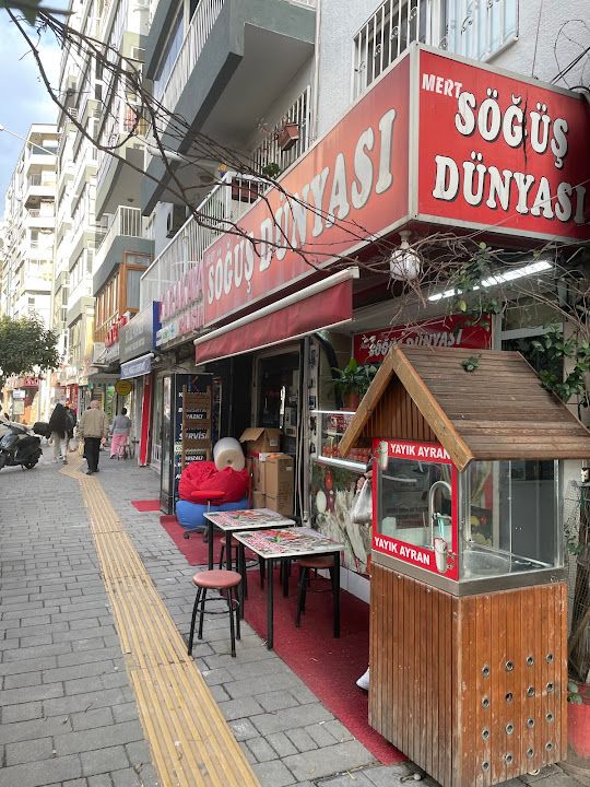 Mert Söğüş Dünyası