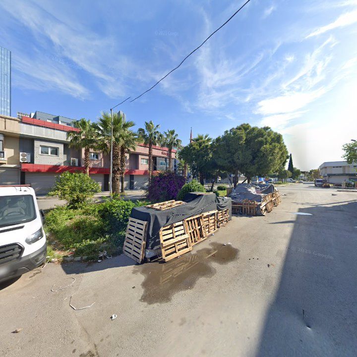 Fotoğraf 7