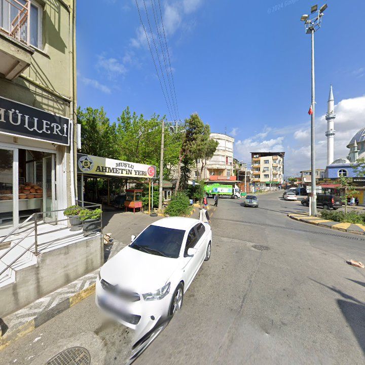 Fotoğraf 8