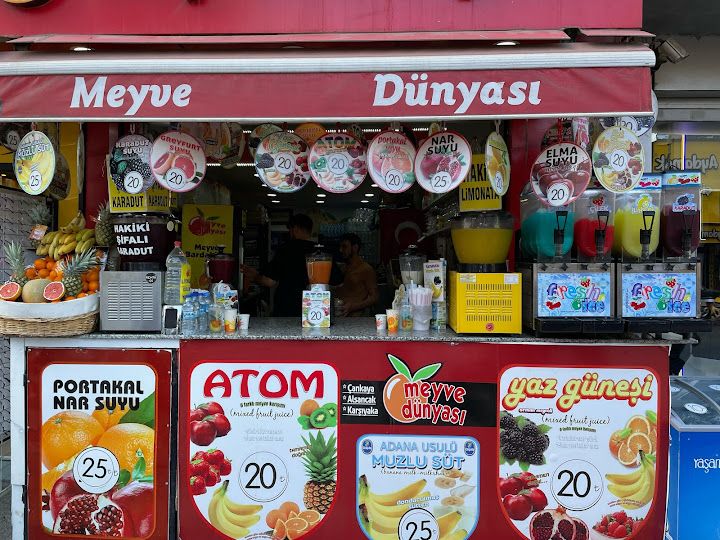 Meyve dünyası