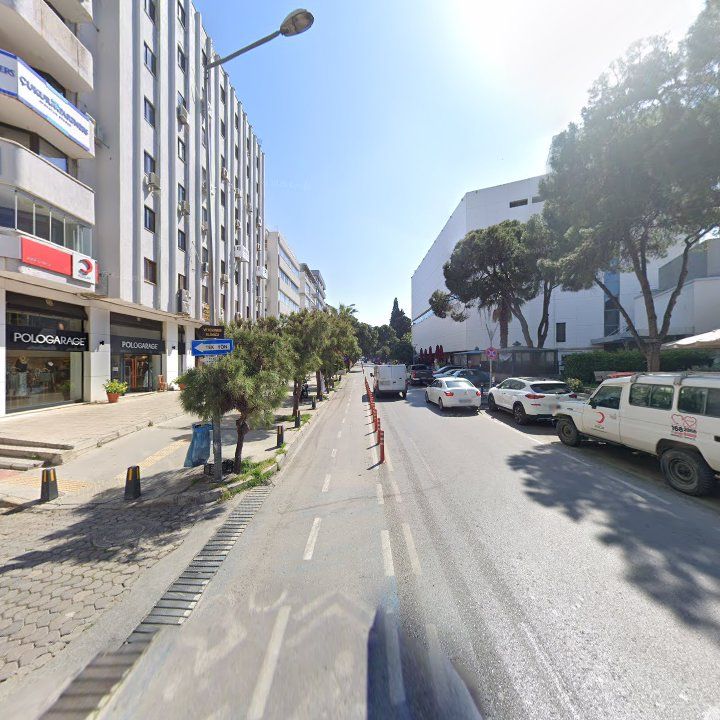Fotoğraf 15