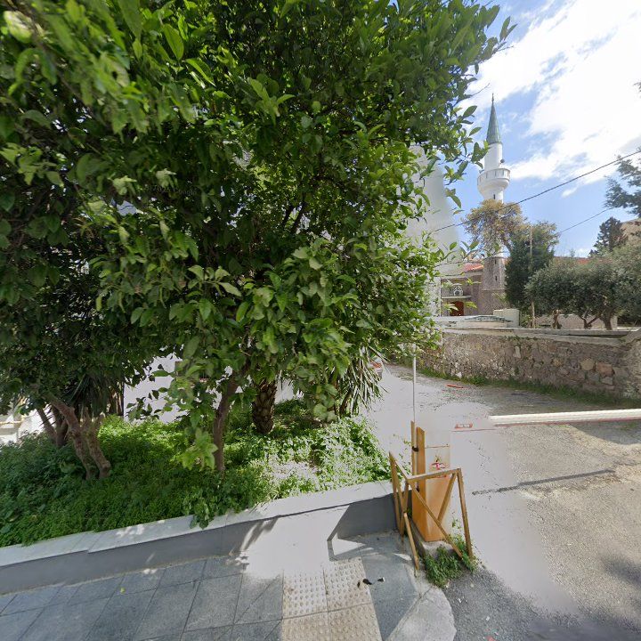 Fotoğraf 8