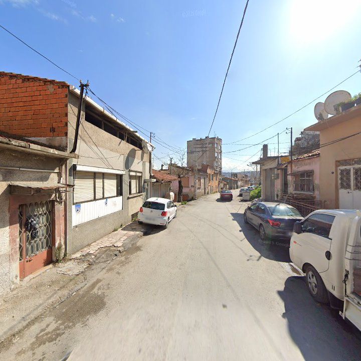 Fotoğraf 4