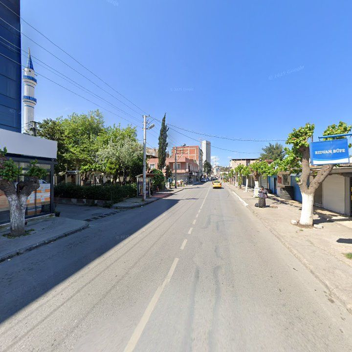 Fotoğraf 8