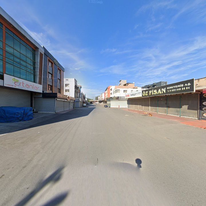 Fotoğraf 9