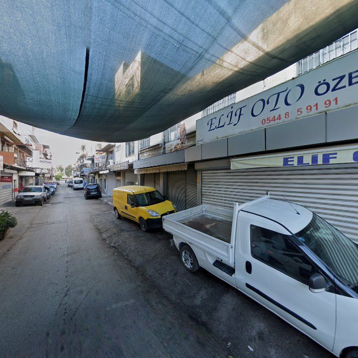 Fotoğraf 7