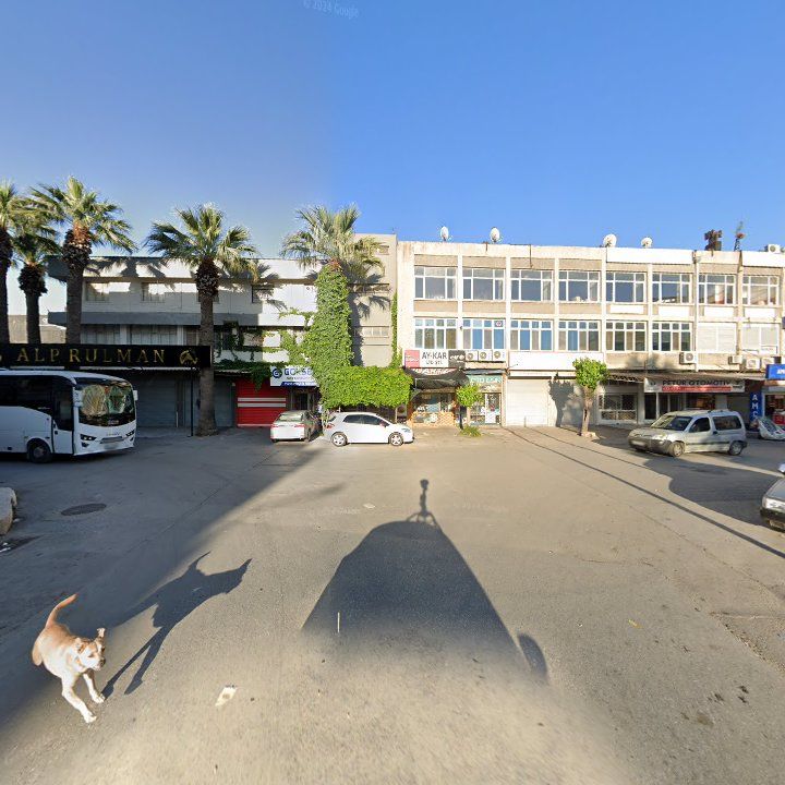 Fotoğraf 3