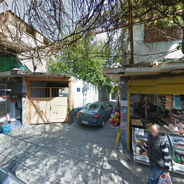 Fotoğraf 17