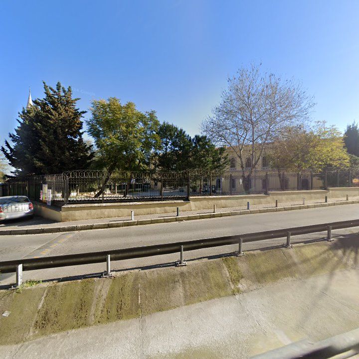Fotoğraf 8