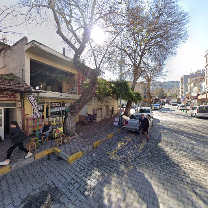Fotoğraf 11