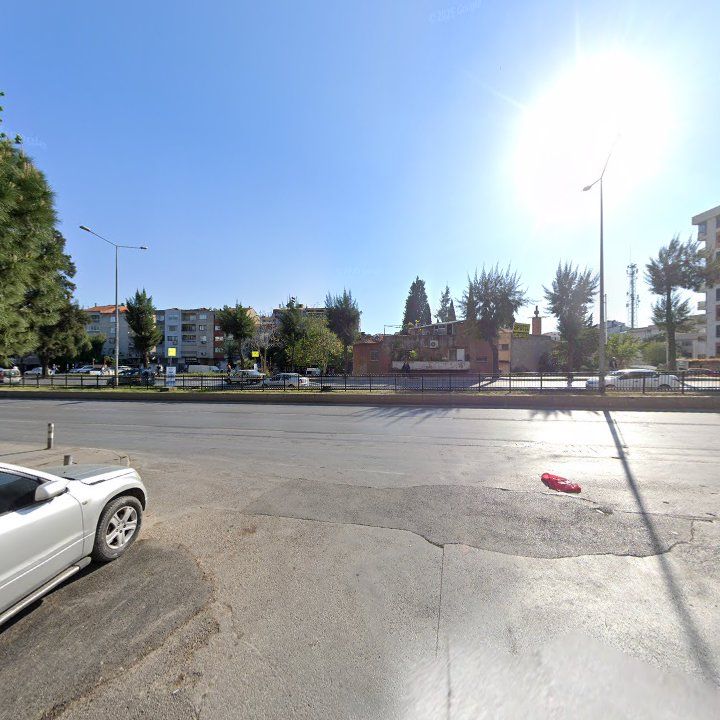 Fotoğraf 8