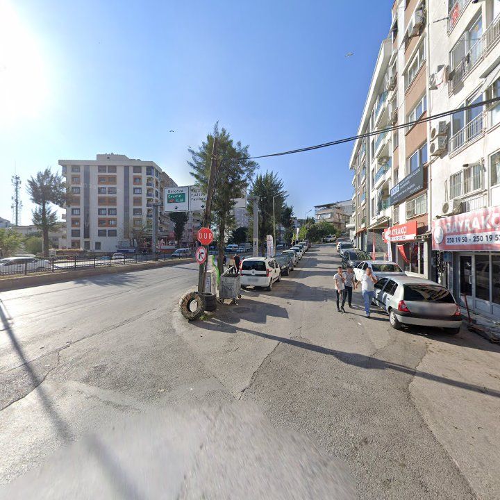 Fotoğraf 9
