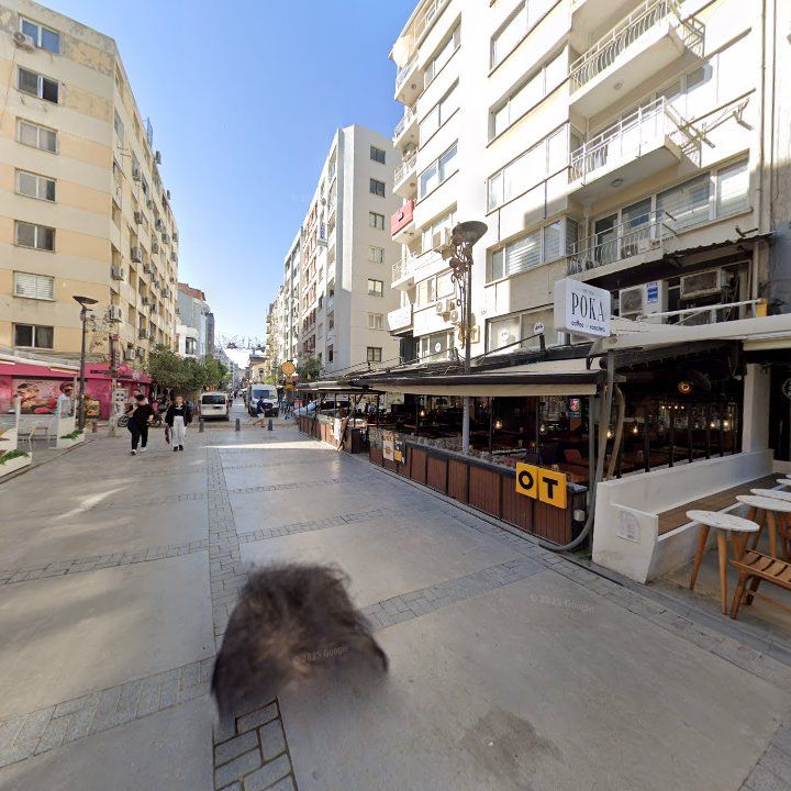Fotoğraf 14