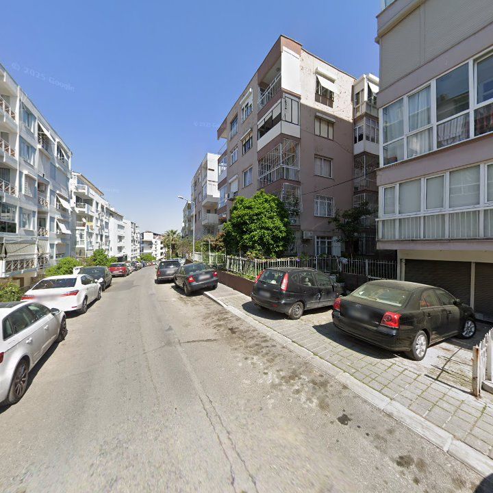 Fotoğraf 12