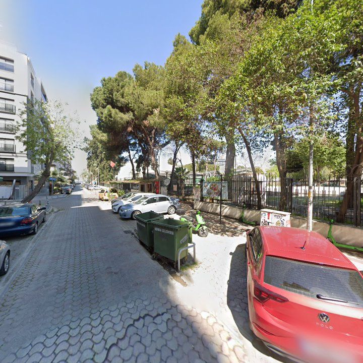 Fotoğraf 10