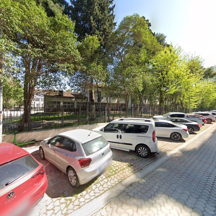 Fotoğraf 11