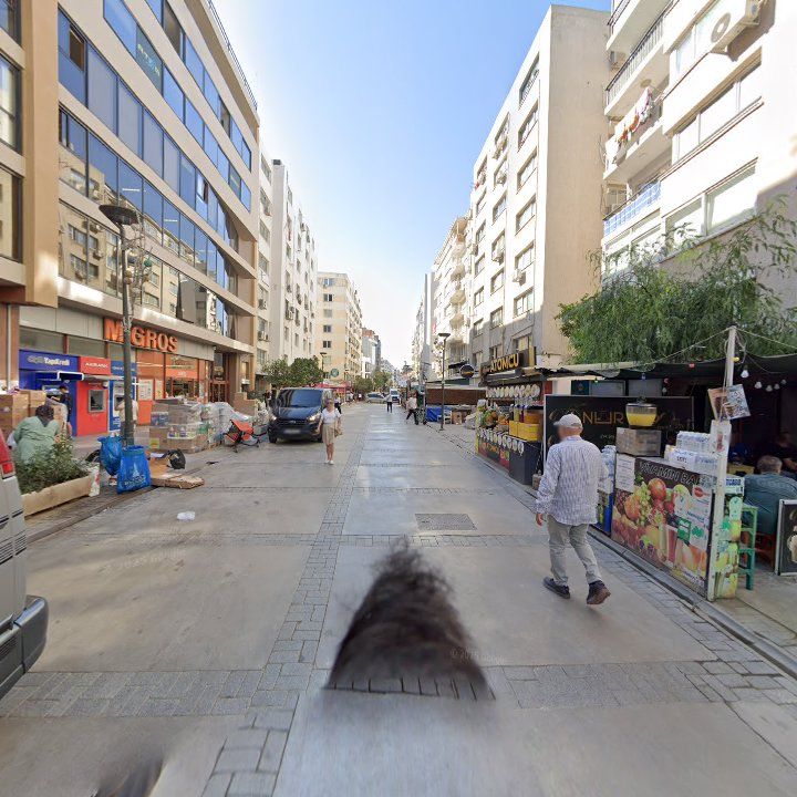 Fotoğraf 12