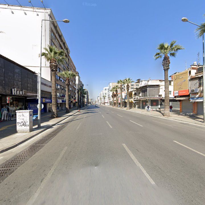 Fotoğraf 11