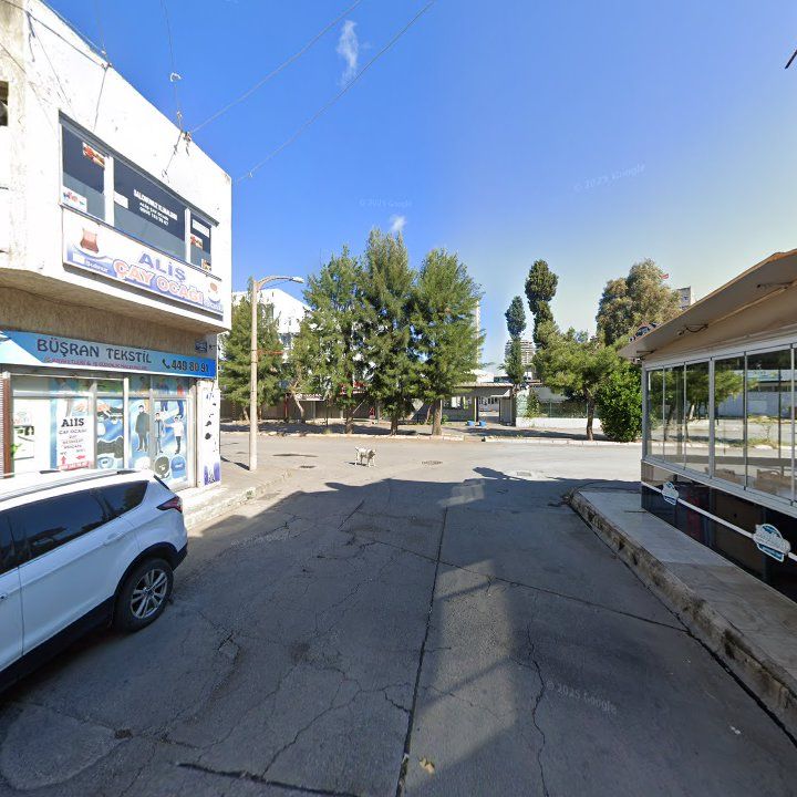 Fotoğraf 10