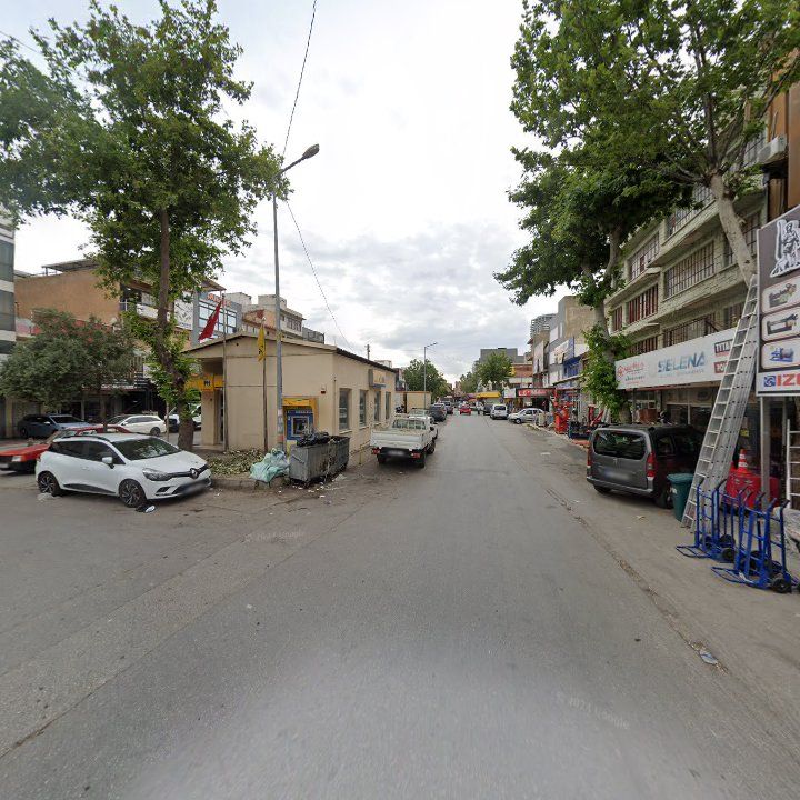 Fotoğraf 7