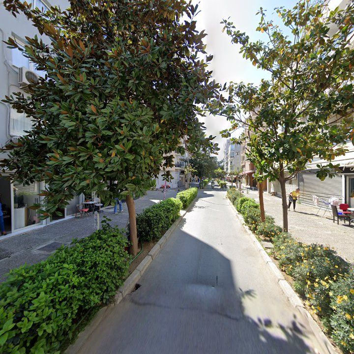 Fotoğraf 12