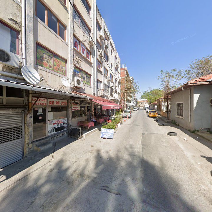 Fotoğraf 12
