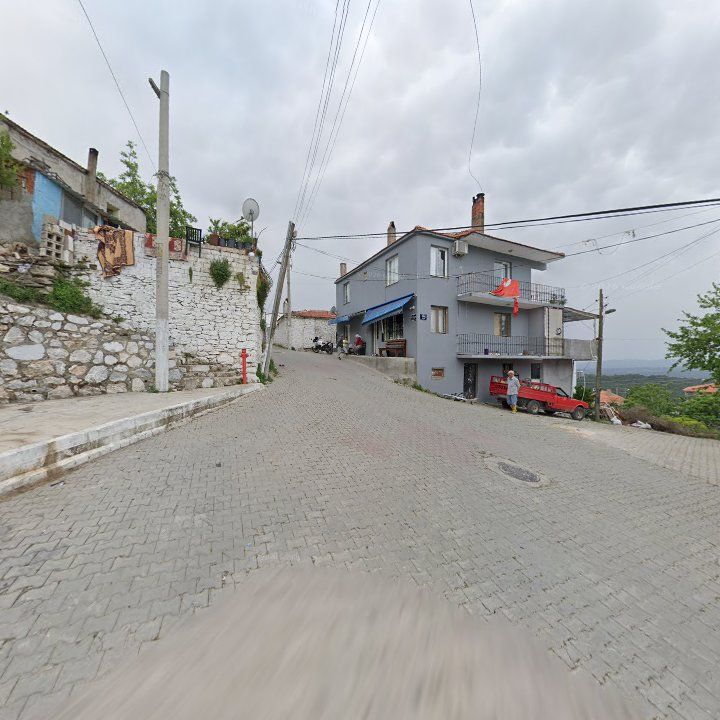 Fotoğraf 5