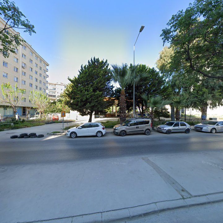 Fotoğraf 6
