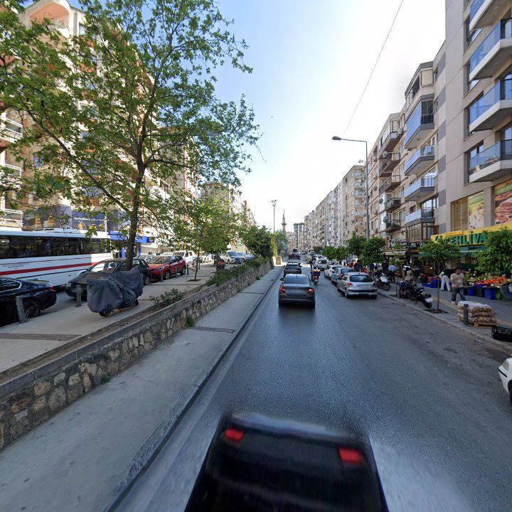 Fotoğraf 6