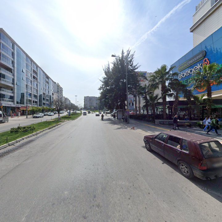 Fotoğraf 10