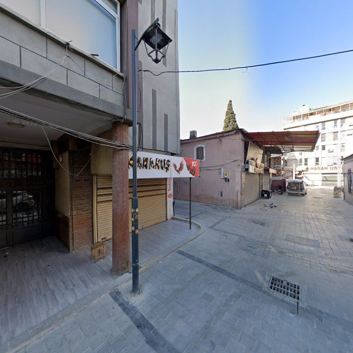 Fotoğraf 11
