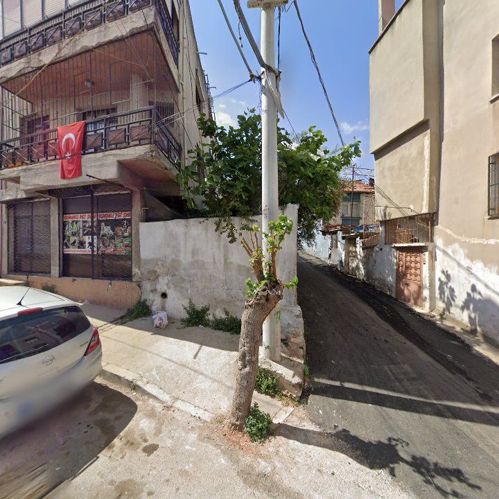 Fotoğraf 3