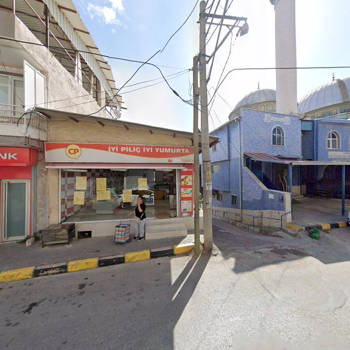 Fotoğraf 4