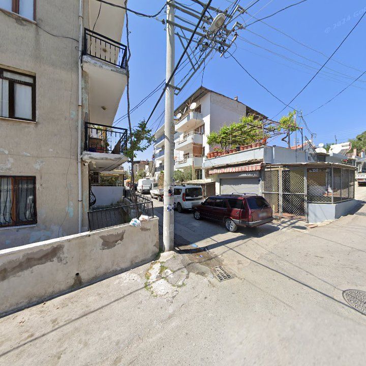 Fotoğraf 10