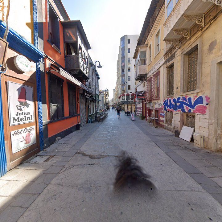 Fotoğraf 17