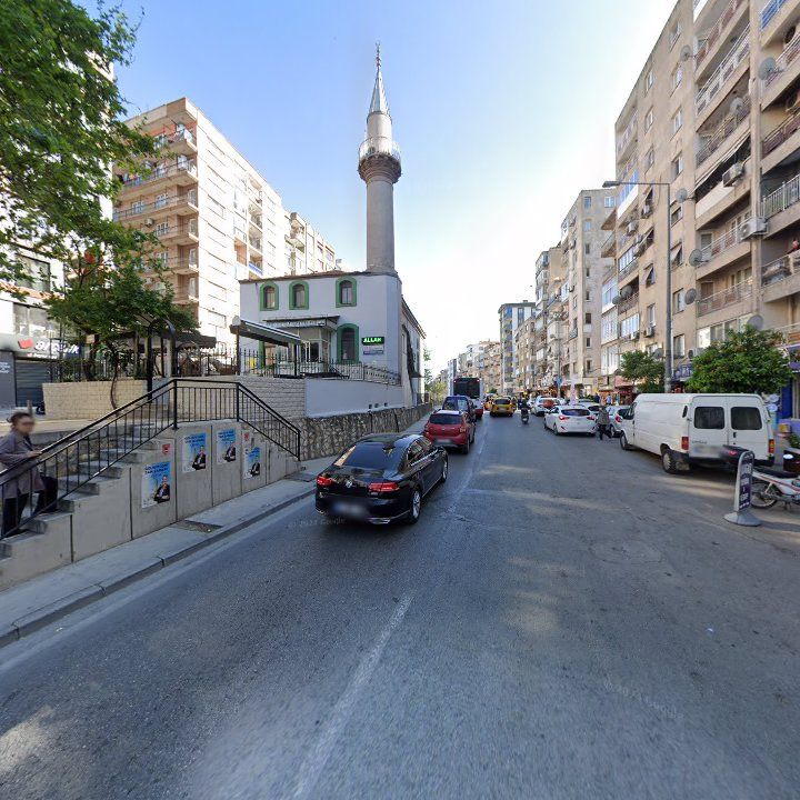 Fotoğraf 12