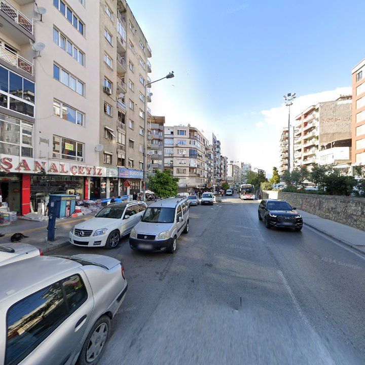 Fotoğraf 10